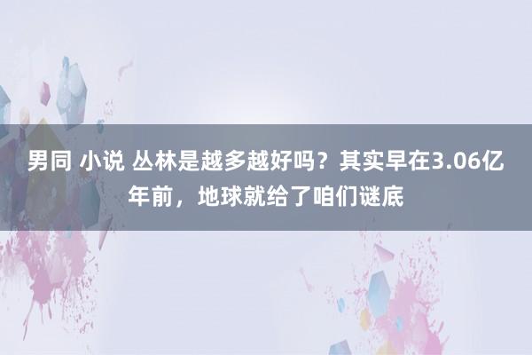   男同 小说 丛林是越多越好吗？其实早在3.06亿年前，地球就给了咱们谜底