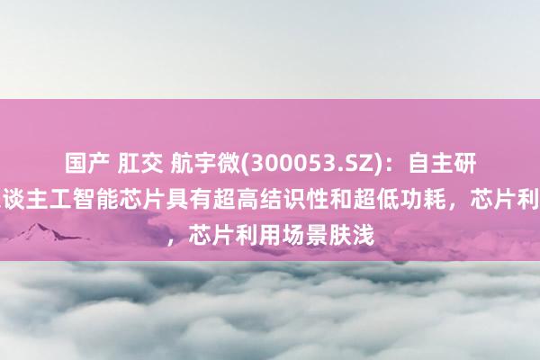 国产 肛交 航宇微(300053.SZ)：自主研发的玉龙东谈主工智能芯片具有超高结识性和超低功耗，芯片利用场景肤浅