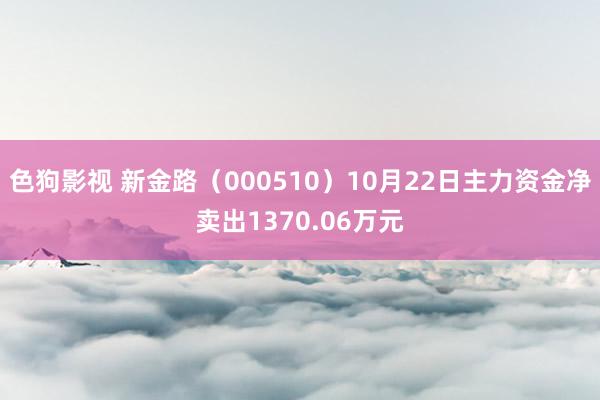 色狗影视 新金路（000510）10月22日主力资金净卖出1370.06万元