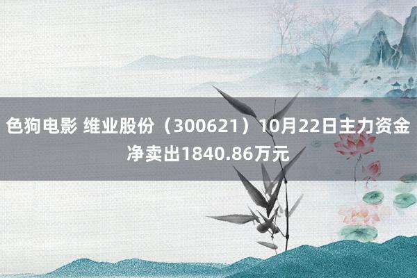   色狗电影 维业股份（300621）10月22日主力资金净卖出1840.86万元