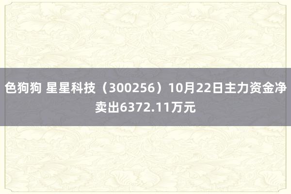 色狗狗 星星科技（300256）10月22日主力资金净卖出6372.11万元