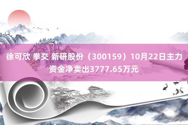   徐可欣 拳交 新研股份（300159）10月22日主力资金净卖出3777.65万元