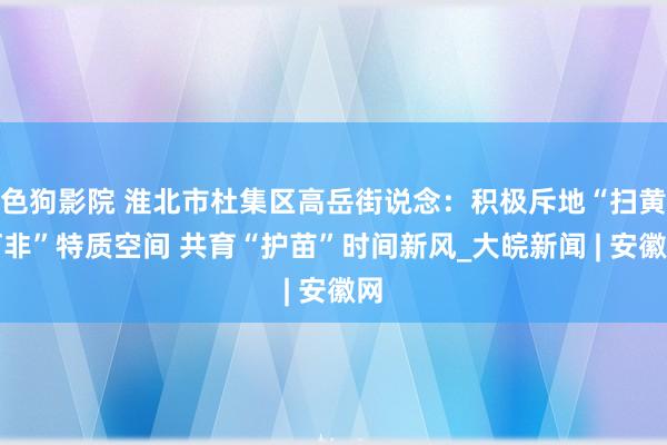   色狗影院 淮北市杜集区高岳街说念：积极斥地“扫黄打非”特质空间 共育“护苗”时间新风_大皖新闻 | 安徽网