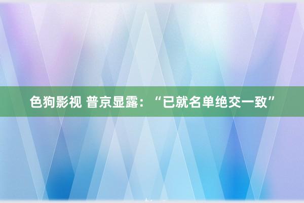 色狗影视 普京显露：“已就名单绝交一致”