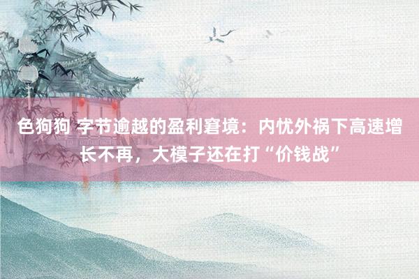   色狗狗 字节逾越的盈利窘境：内忧外祸下高速增长不再，大模子还在打“价钱战”