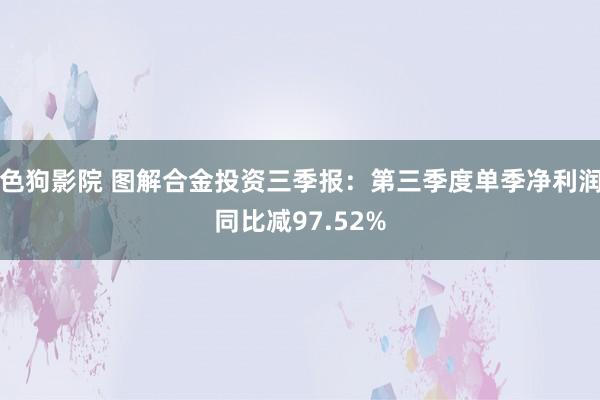   色狗影院 图解合金投资三季报：第三季度单季净利润同比减97.52%