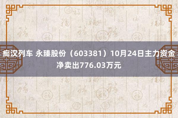   痴汉列车 永臻股份（603381）10月24日主力资金净卖出776.03万元