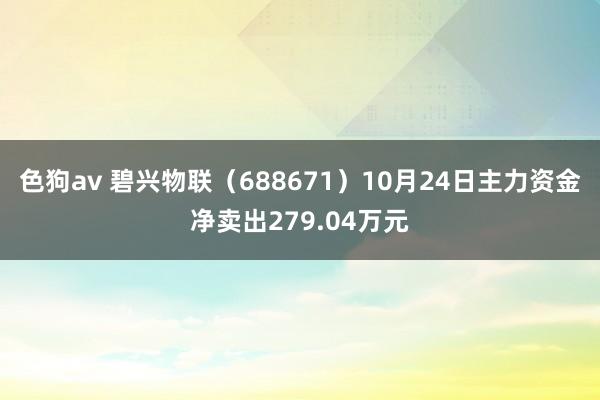 色狗av 碧兴物联（688671）10月24日主力资金净卖出279.04万元