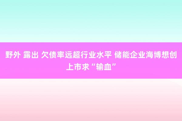   野外 露出 欠债率远超行业水平 储能企业海博想创上市求“输血”