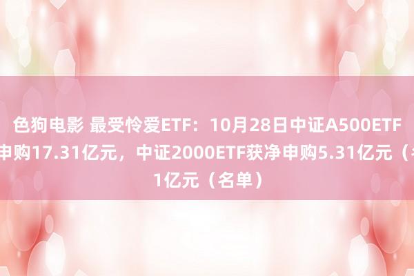 色狗电影 最受怜爱ETF：10月28日中证A500ETF获净申购17.31亿元，中证2000ETF获净申购5.31亿元（名单）