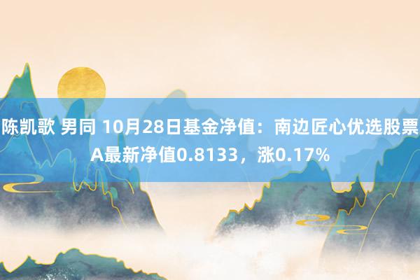   陈凯歌 男同 10月28日基金净值：南边匠心优选股票A最新净值0.8133，涨0.17%