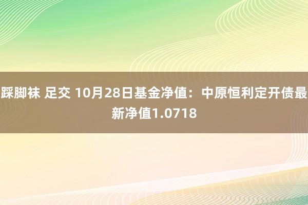 踩脚袜 足交 10月28日基金净值：中原恒利定开债最新净值1.0718