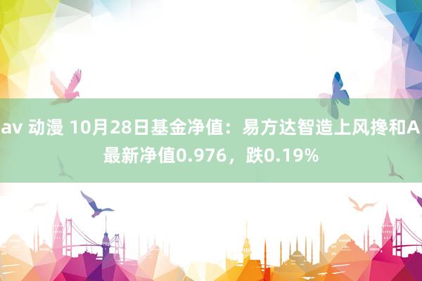   av 动漫 10月28日基金净值：易方达智造上风搀和A最新净值0.976，跌0.19%