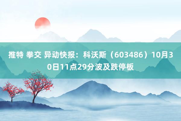   推特 拳交 异动快报：科沃斯（603486）10月30日11点29分波及跌停板