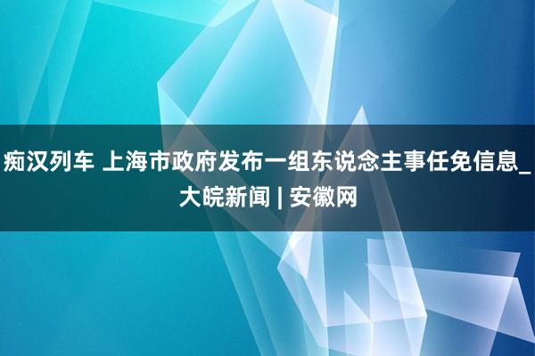   痴汉列车 上海市政府发布一组东说念主事任免信息_大皖新闻 | 安徽网