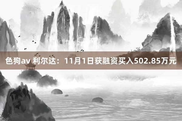 色狗av 利尔达：11月1日获融资买入502.85万元