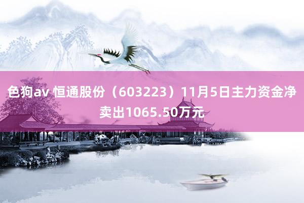 色狗av 恒通股份（603223）11月5日主力资金净卖出1065.50万元