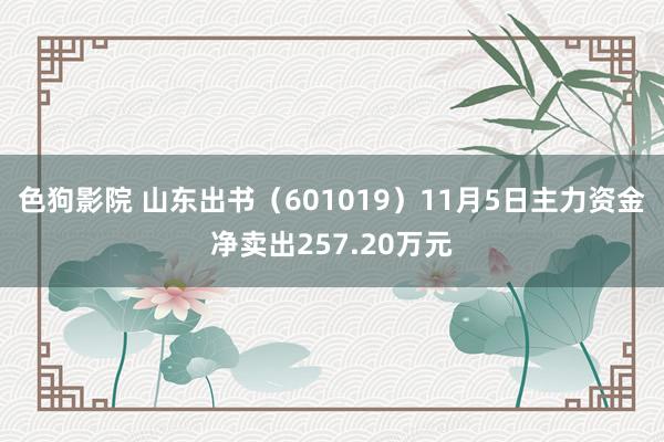 色狗影院 山东出书（601019）11月5日主力资金净卖出257.20万元