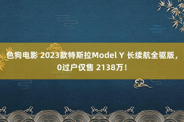 色狗电影 2023款特斯拉Model Y 长续航全驱版，0过