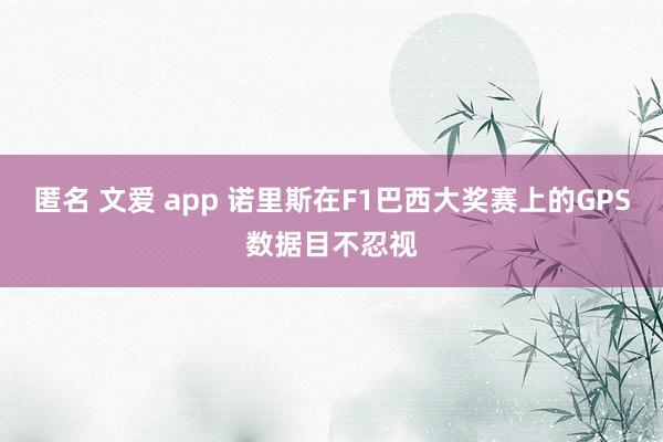 匿名 文爱 app 诺里斯在F1巴西大奖赛上的GPS数据目不