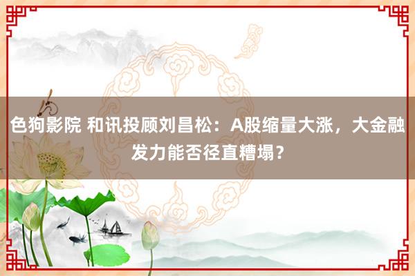 色狗影院 和讯投顾刘昌松：A股缩量大涨，大金融发力能否径直糟