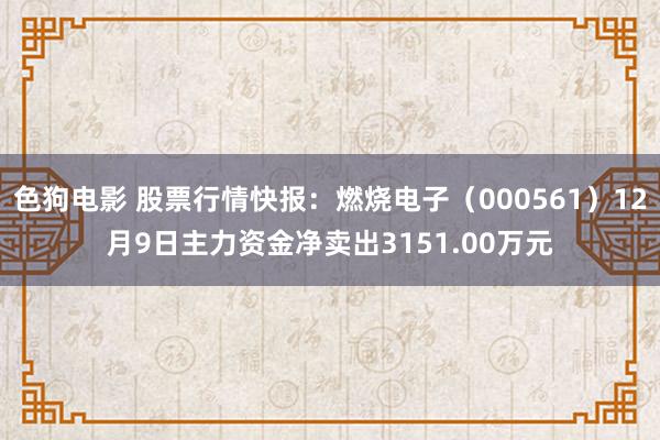 色狗电影 股票行情快报：燃烧电子（000561）12月9日主力资金净卖出3151.00万元