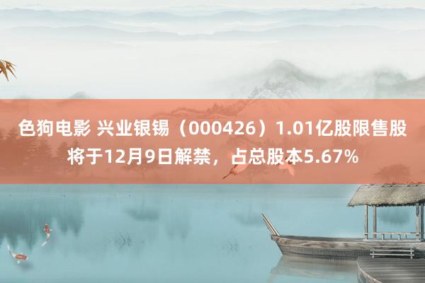 色狗电影 兴业银锡（000426）1.01亿股限售股将于12月9日解禁，占总股本5.67%