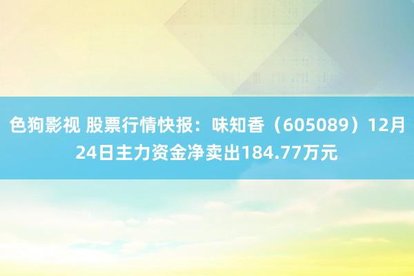 色狗影视 股票行情快报：味知香（605089）12月24日主