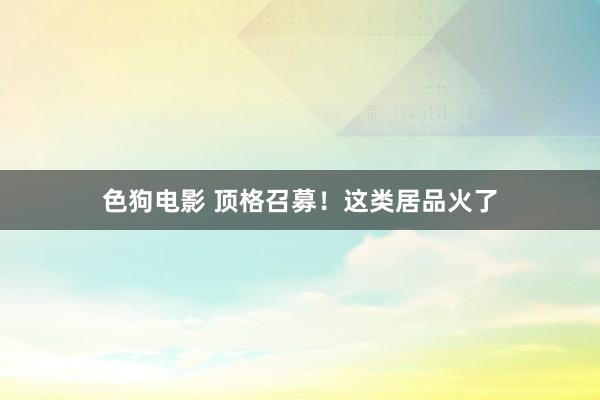 色狗电影 顶格召募！这类居品火了