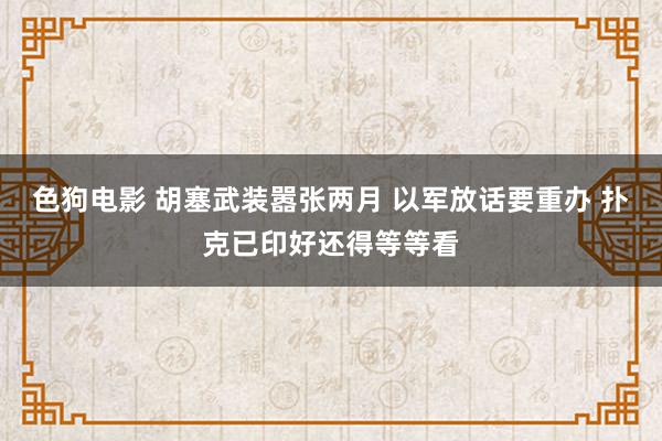 色狗电影 胡塞武装嚣张两月 以军放话要重办 扑克已印好还得等