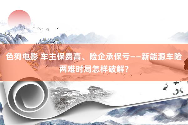 色狗电影 车主保费高、险企承保亏——新能源车险两难时局怎样破