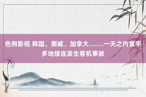 色狗影视 韩国、挪威、加拿大……一天之内寰宇多地接连发生客机