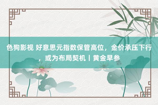 色狗影视 好意思元指数保管高位，金价承压下行，或为布局契机丨