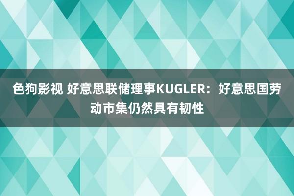 色狗影视 好意思联储理事KUGLER：好意思国劳动市集仍然具