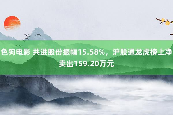 色狗电影 共进股份振幅15.58%，沪股通龙虎榜上净卖出159.20万元