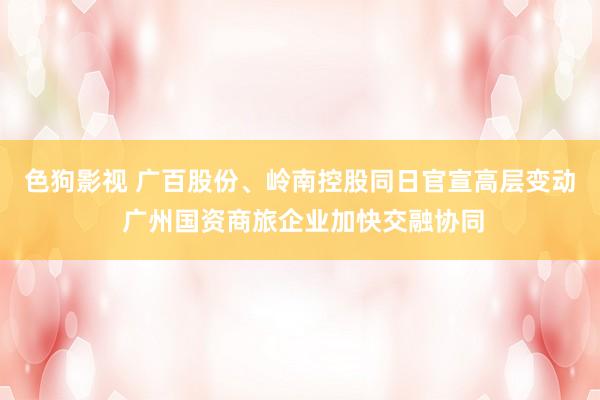 色狗影视 广百股份、岭南控股同日官宣高层变动 广州国资商旅企业加快交融协同