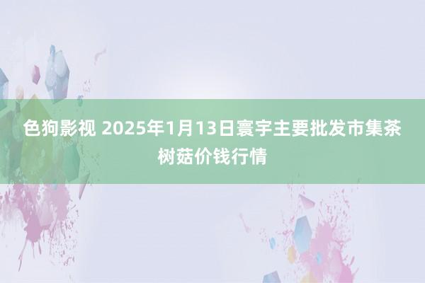 色狗影视 2025年1月13日寰宇主要批发市集茶树菇价钱行情