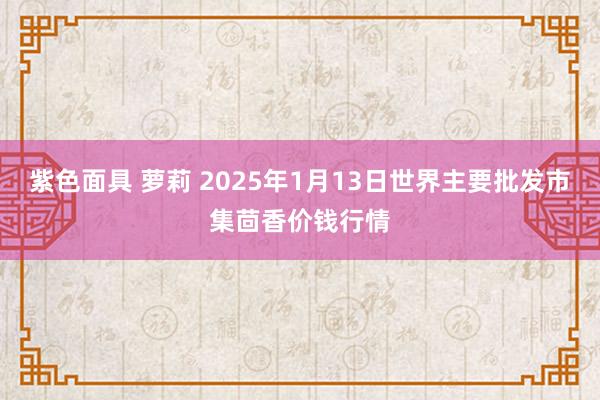 紫色面具 萝莉 2025年1月13日世界主要批发市集茴香价钱