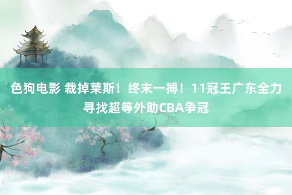 色狗电影 裁掉莱斯！终末一搏！11冠王广东全力寻找超等外助C