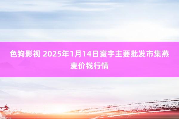 色狗影视 2025年1月14日寰宇主要批发市集燕麦价钱行情