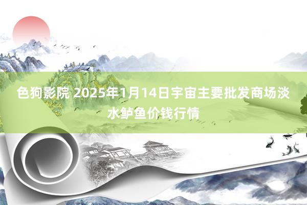 色狗影院 2025年1月14日宇宙主要批发商场淡水鲈鱼价钱行情