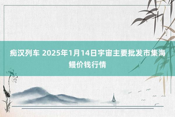 痴汉列车 2025年1月14日宇宙主要批发市集海鳗价钱行情