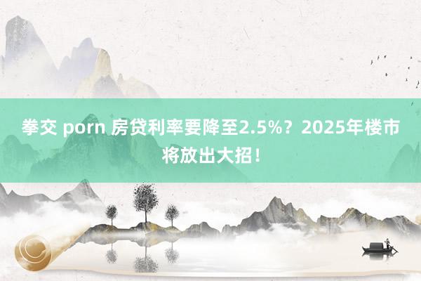 拳交 porn 房贷利率要降至2.5%？2025年楼市将放出大招！