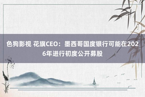 色狗影视 花旗CEO：墨西哥国度银行可能在2026年进行初度公开募股