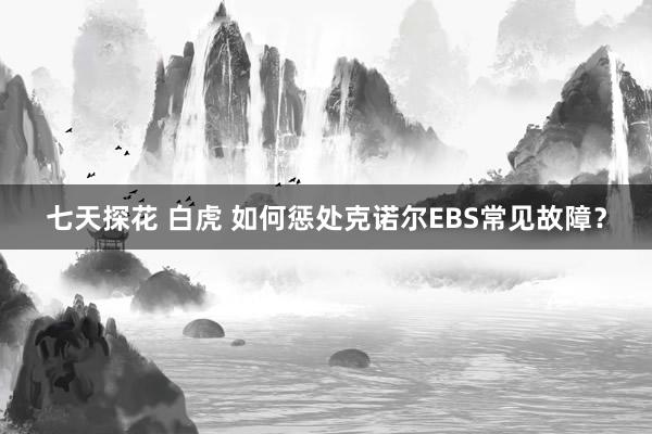 七天探花 白虎 如何惩处克诺尔EBS常见故障？