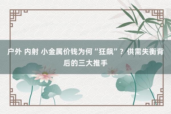 户外 内射 小金属价钱为何“狂飙”？供需失衡背后的三大推手